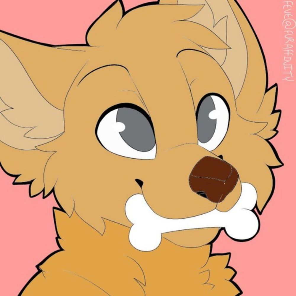 Chirufluff🐾