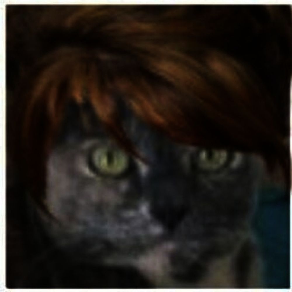 Amelia Perkins Sims