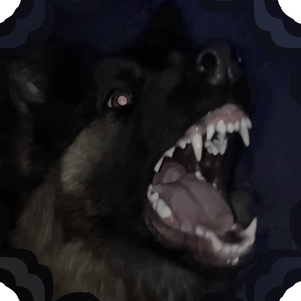 DER JAGDHUND !!