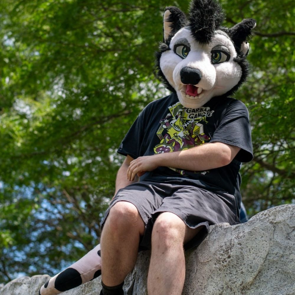 Brillo Possum