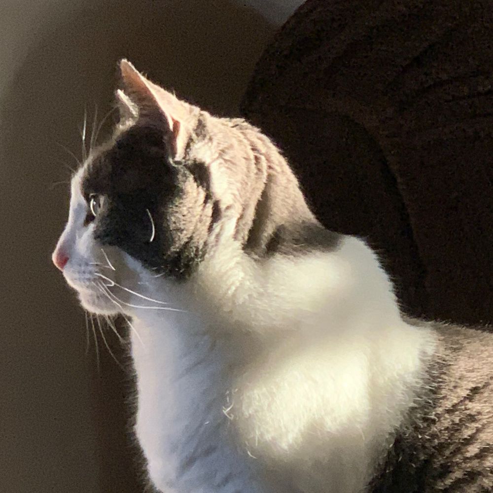 Zaphod