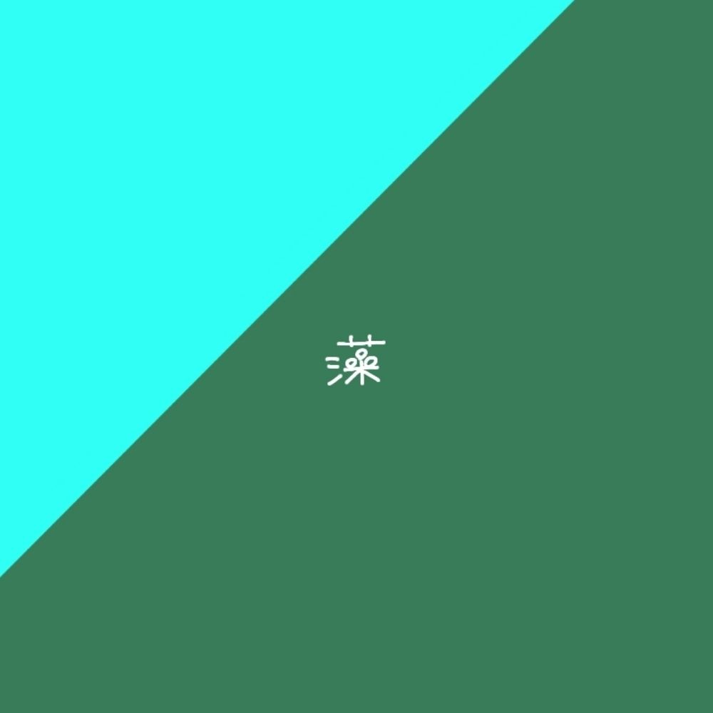 藻