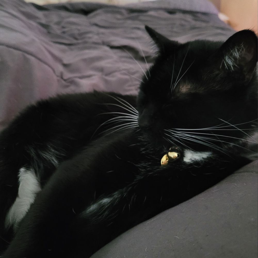 Mim