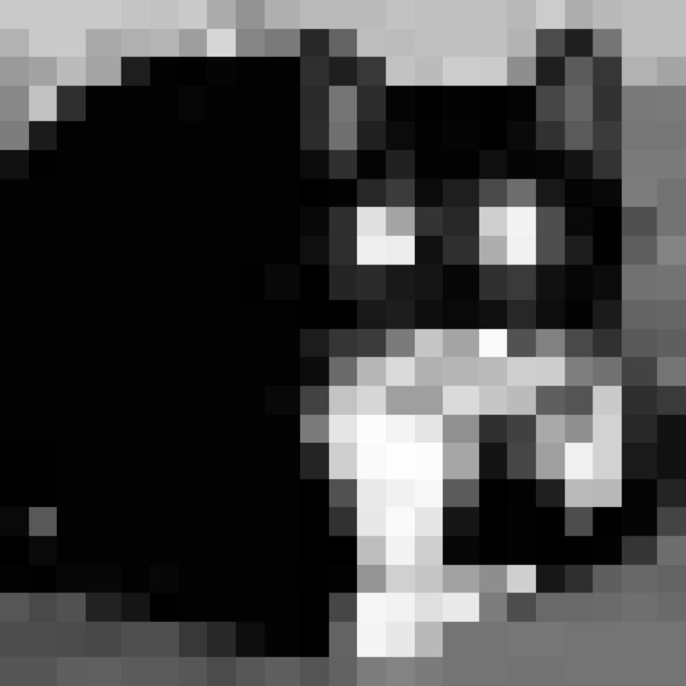 NaN Cat