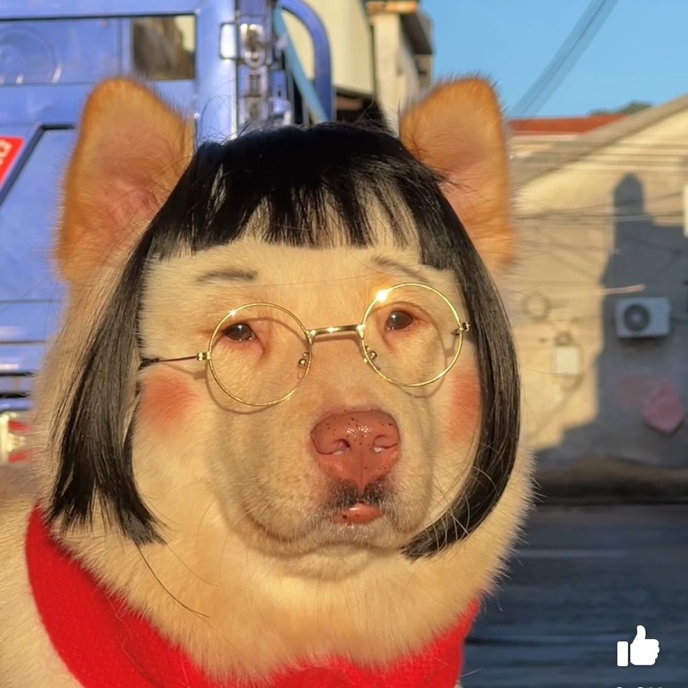 Fufyzippyjung