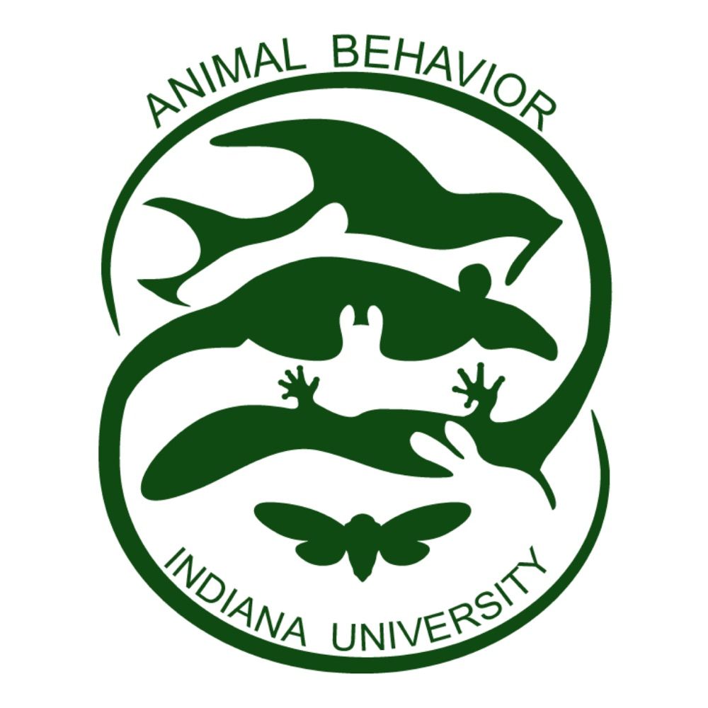 CISAB, Indiana University