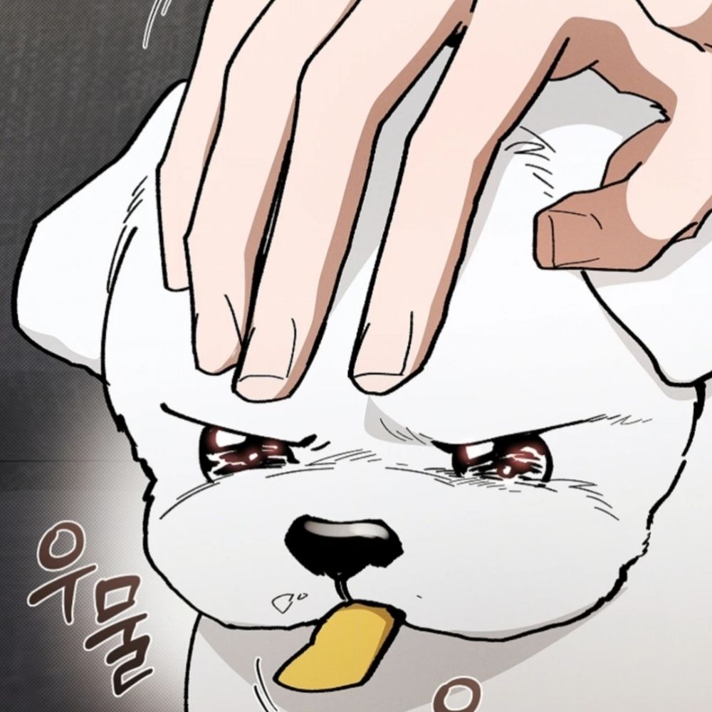 자몽설탕