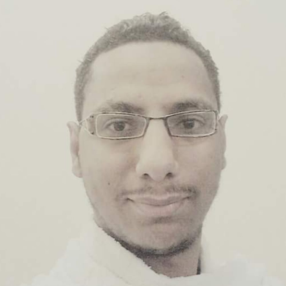 Sayed Amer