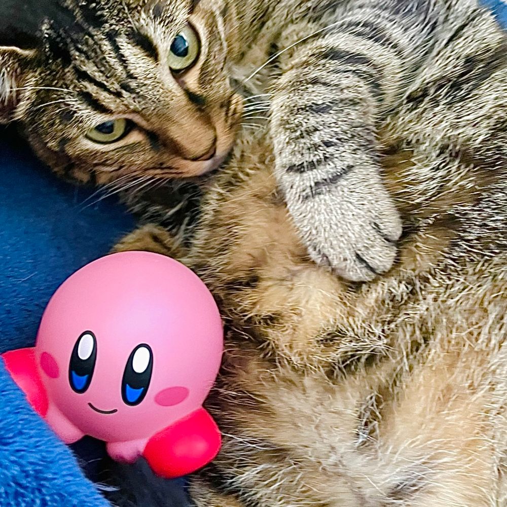 Director_Kumazaki ／熊崎信也 🎮