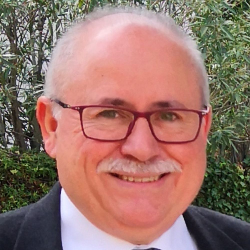 Ramon Ruiz-Navarro (PhD)