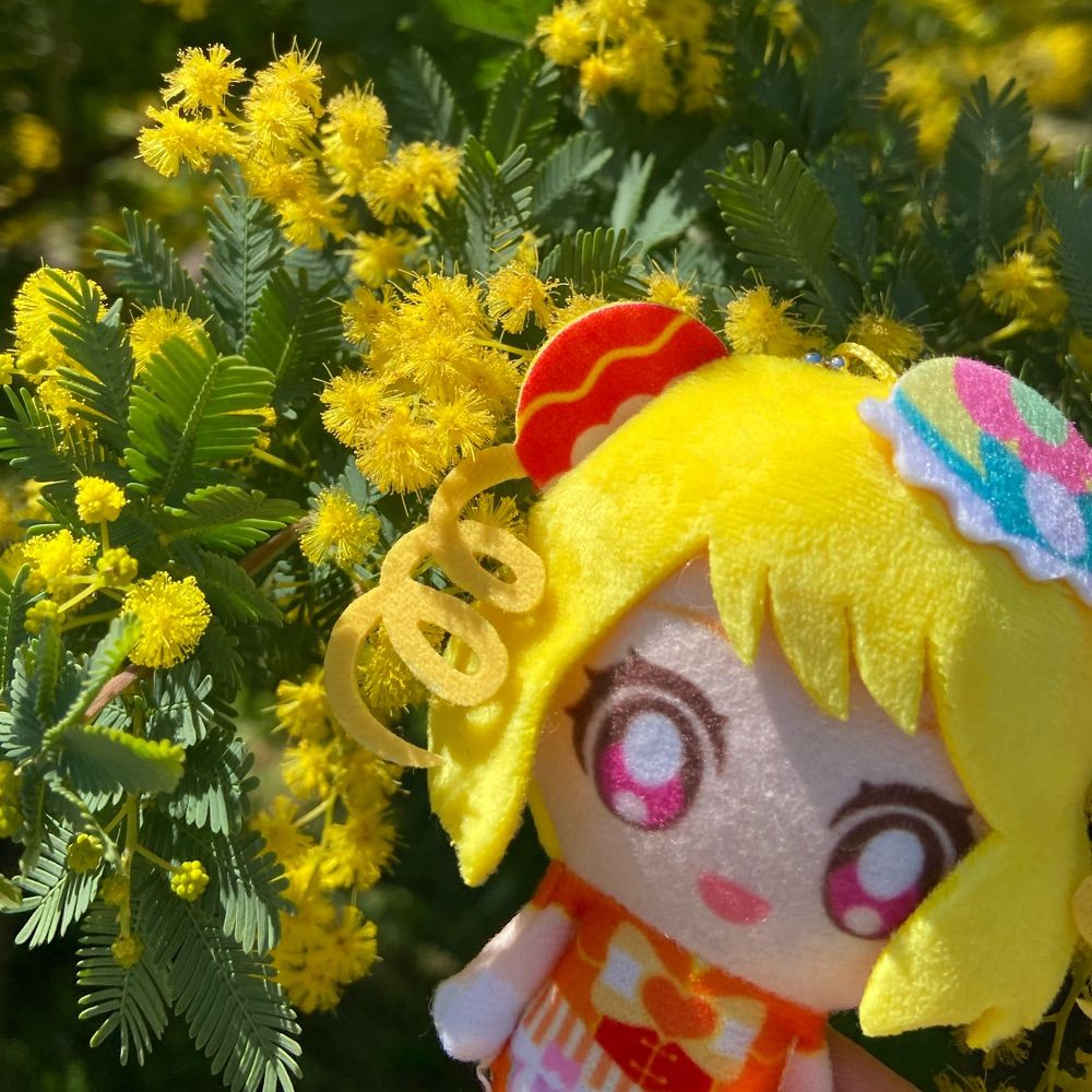 𝓨𝓾𝓻𝓲𝓼𝓪