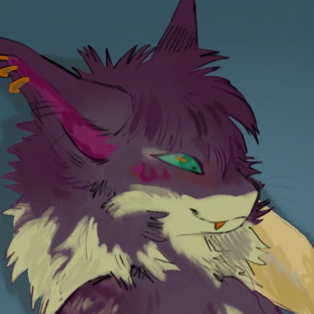 FluffStuff ᯓ★