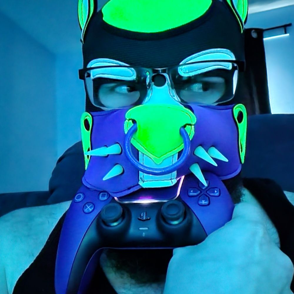 Null, Shibe Supreme