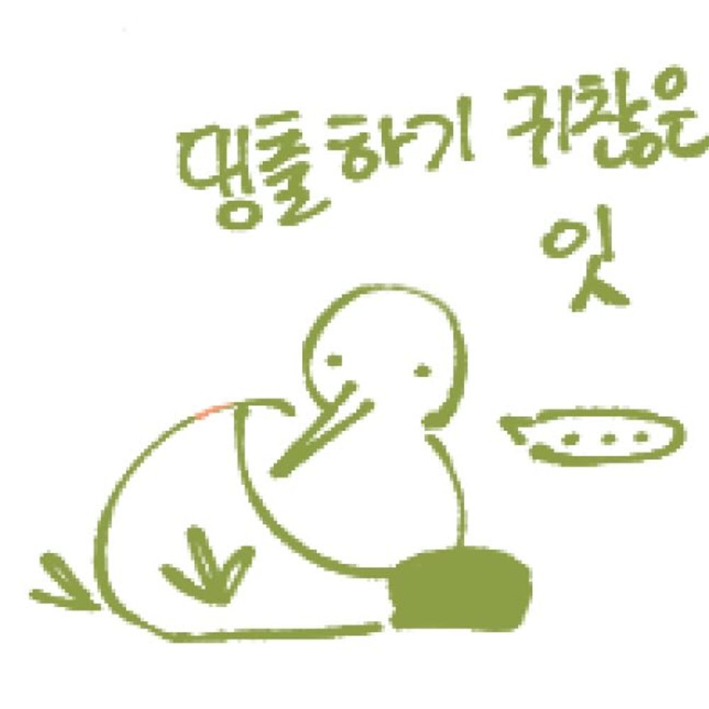 이름은비워둘수있습니다
