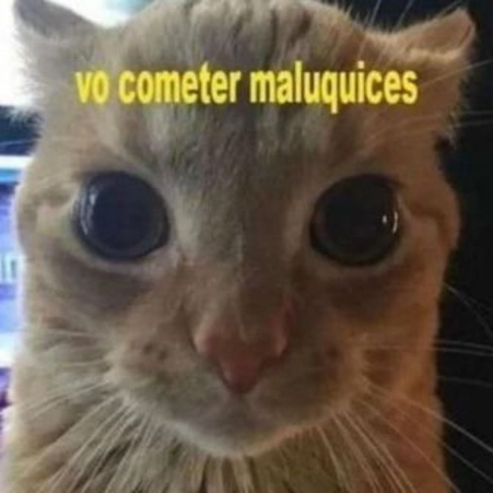 HudCAO