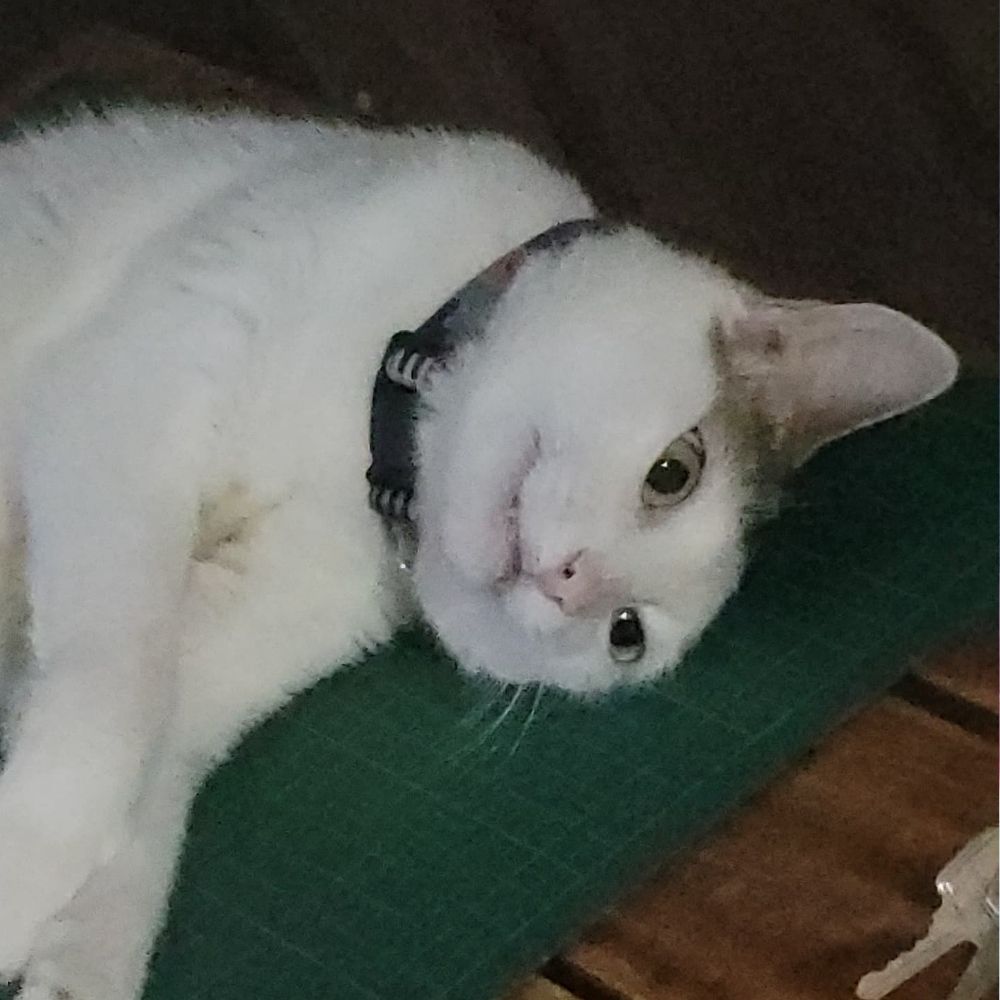 ...