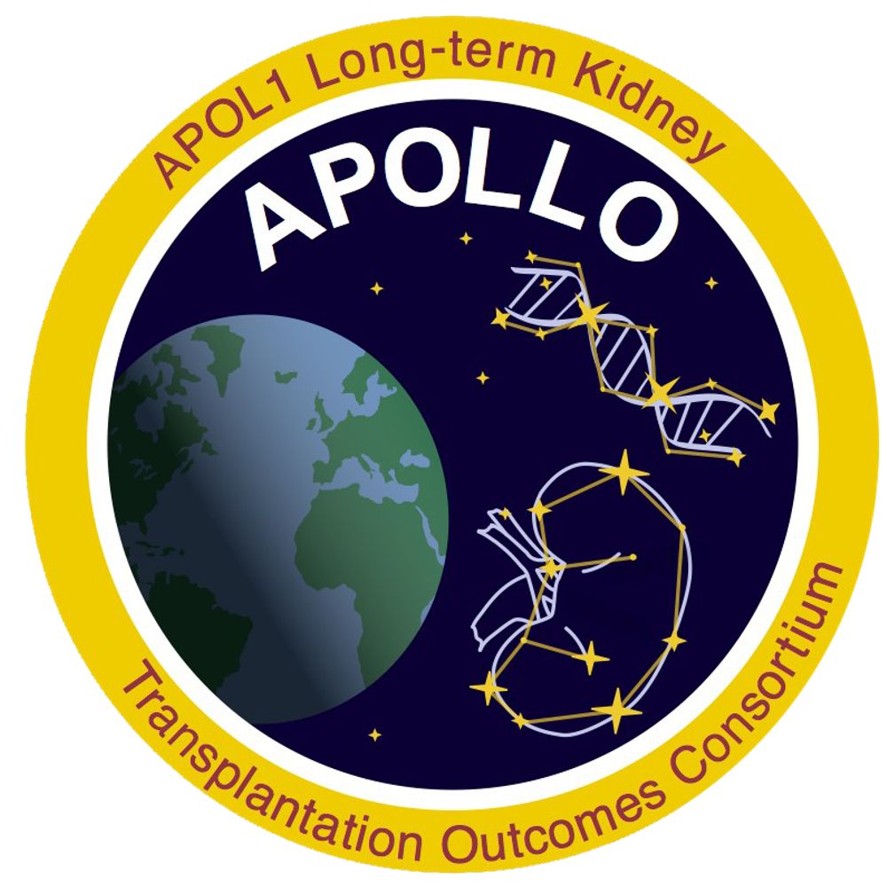APOLLO Network13