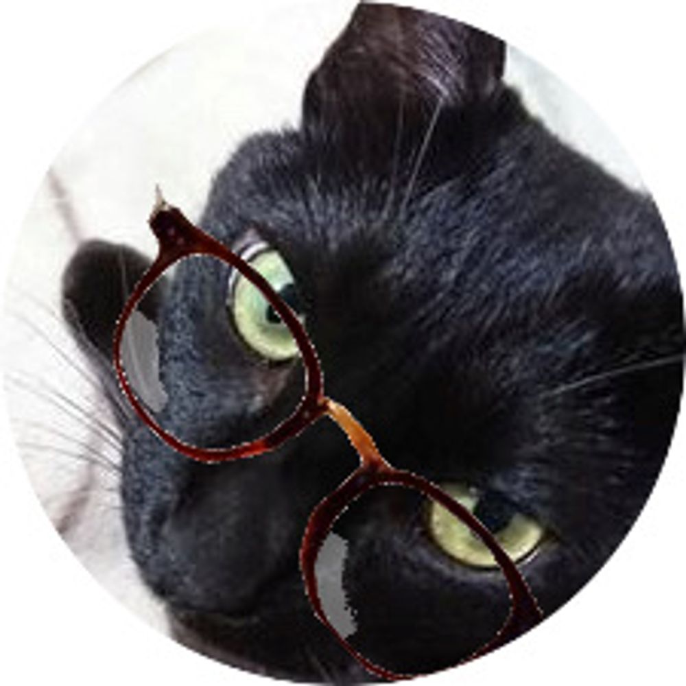 ちるは🐈‍⬛