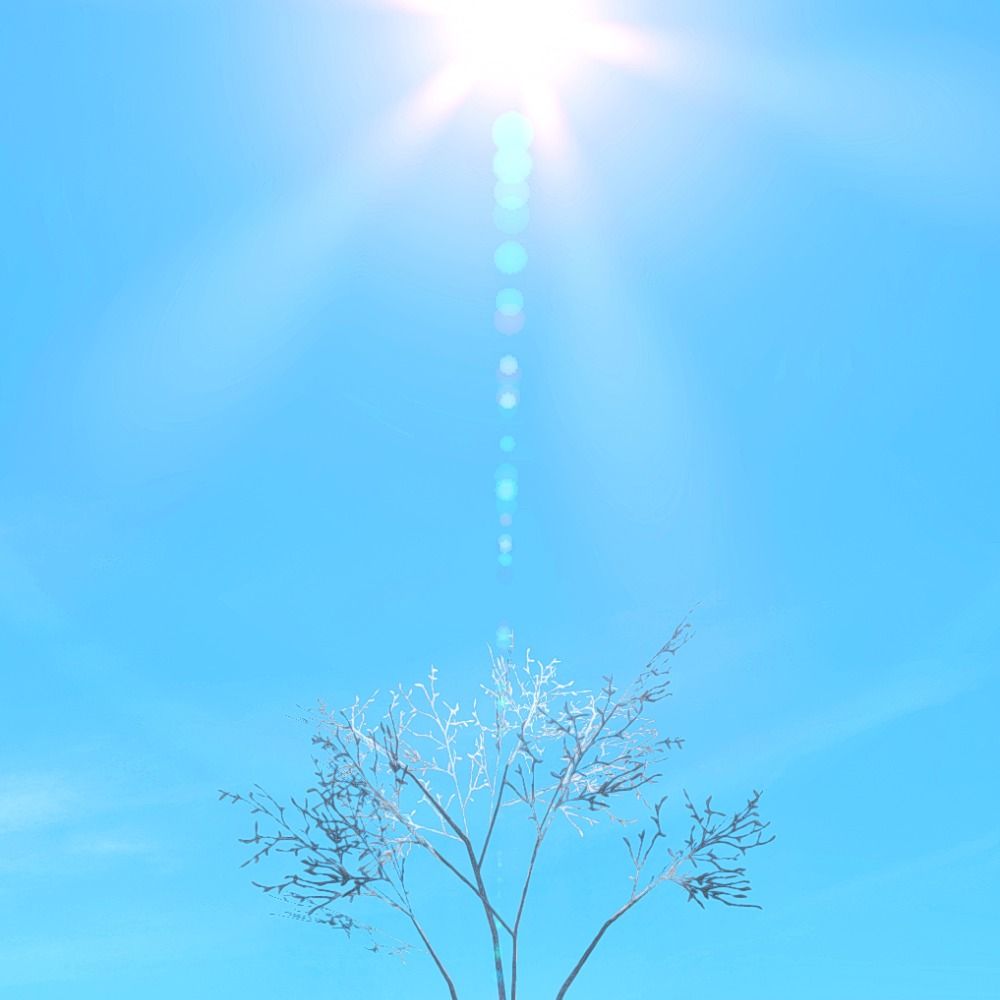 Ast