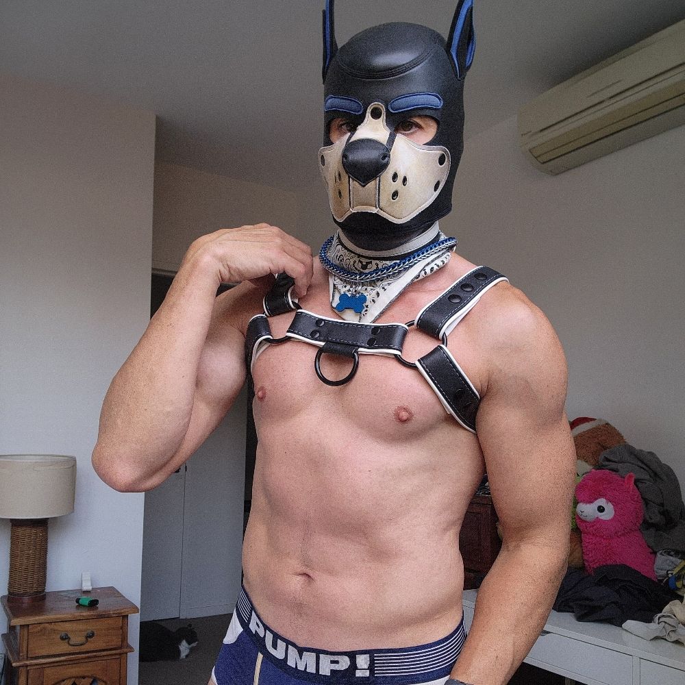 PupWags Schmutzdog