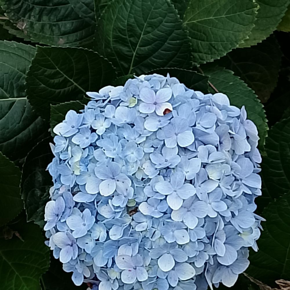 วันๆก็นะ