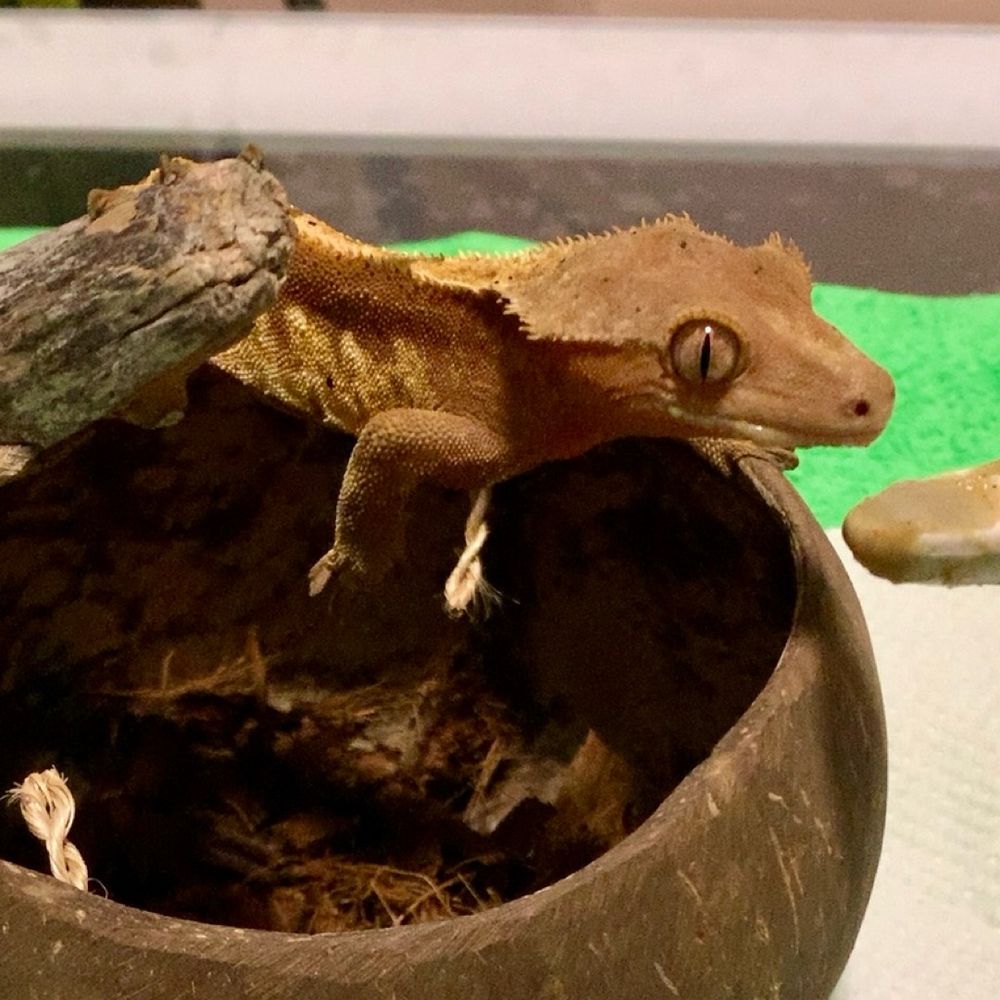 ㋮！