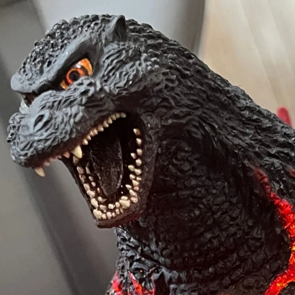 ゴジ郞