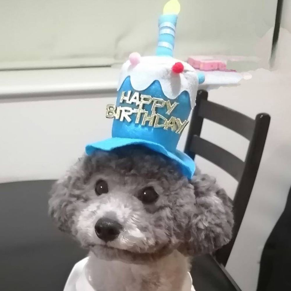 めがさん