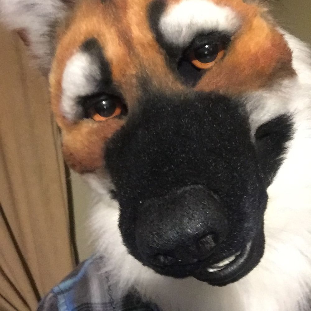 StiltFoxAD