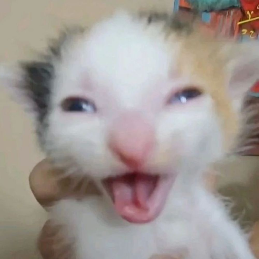 Kiri