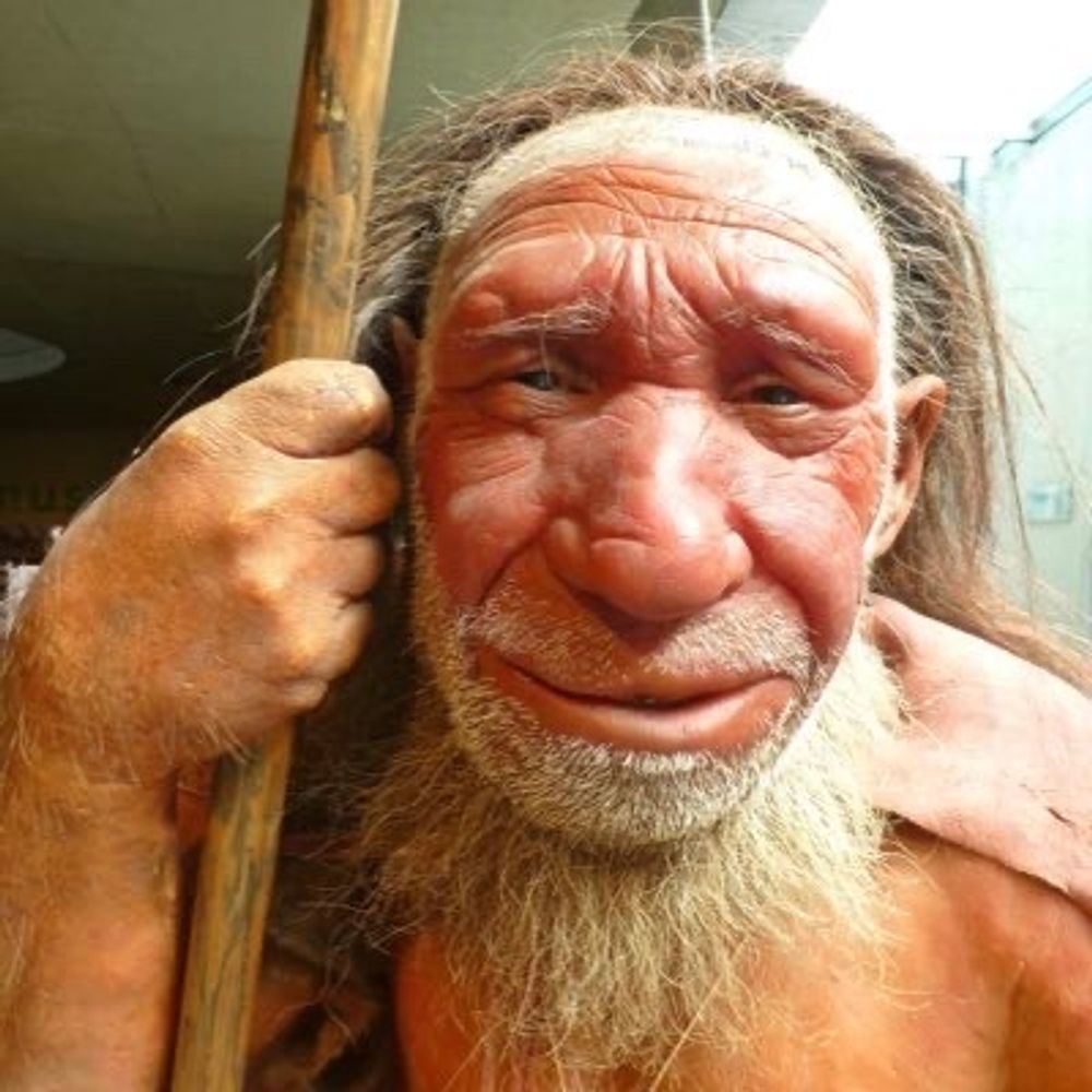 Neanderthaler