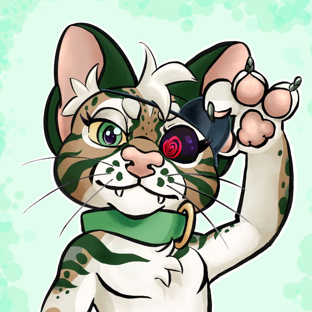 Logan the kitty