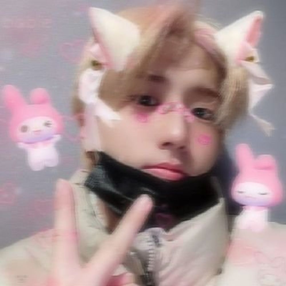 Wawaa ｡･:*˚:✧｡🐻‍❄️