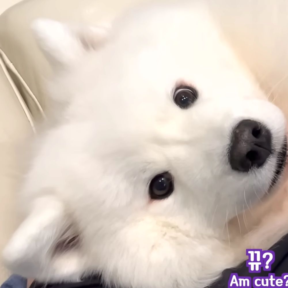 청명이