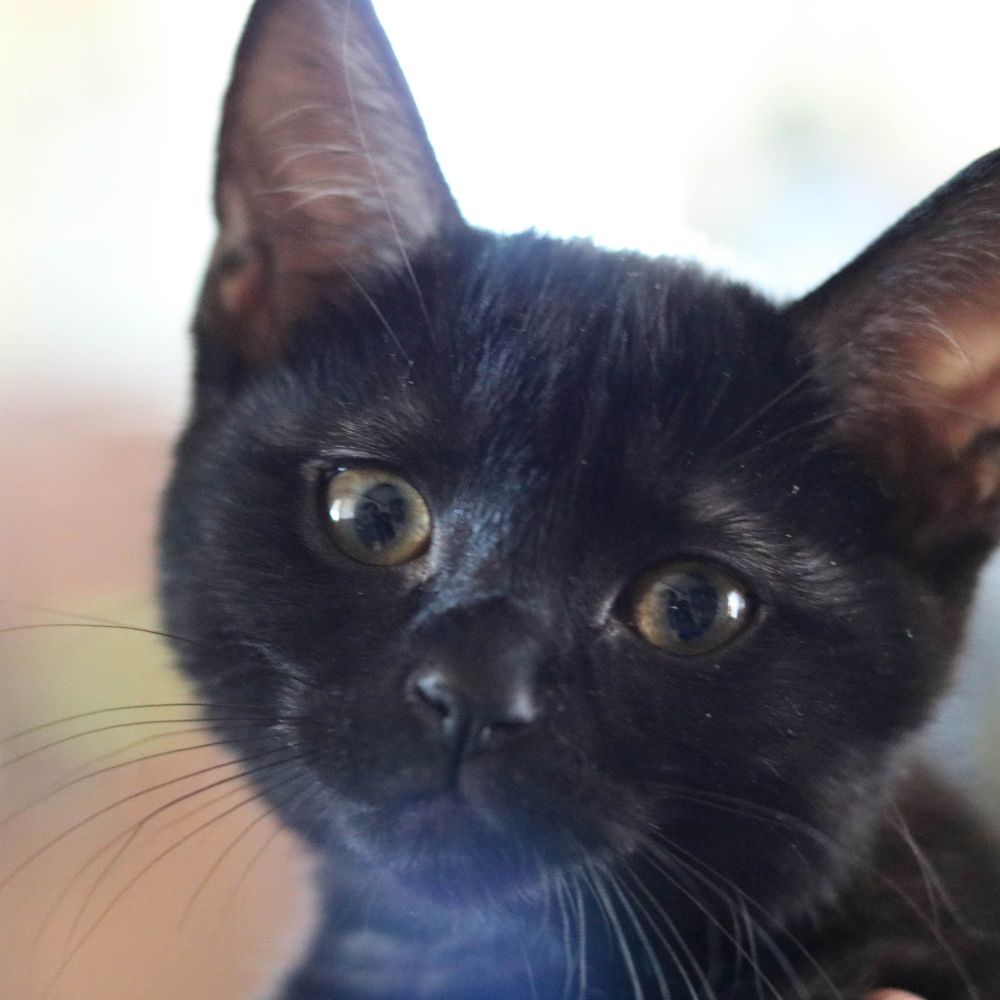 Max 