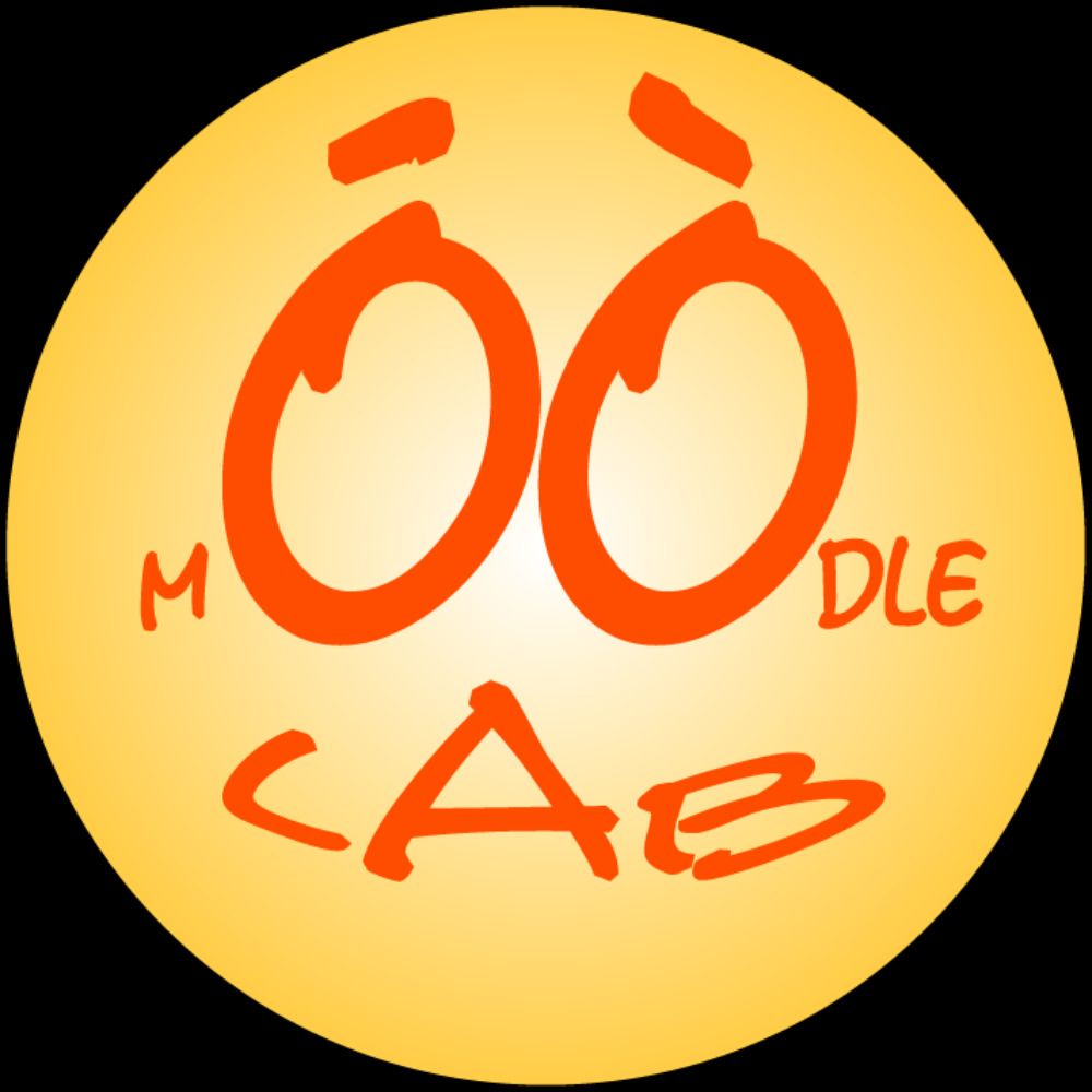 mOOdlelab