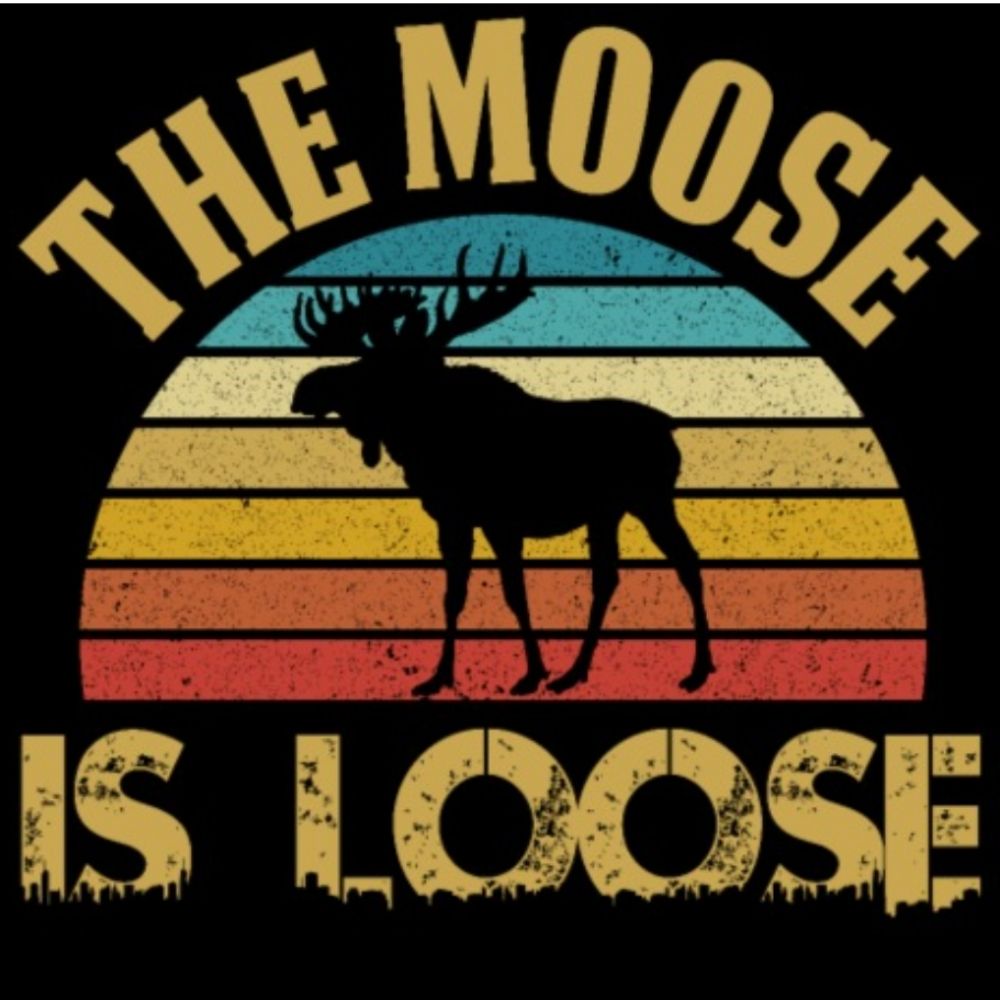 Profile picture loosemoose2.bsky.social