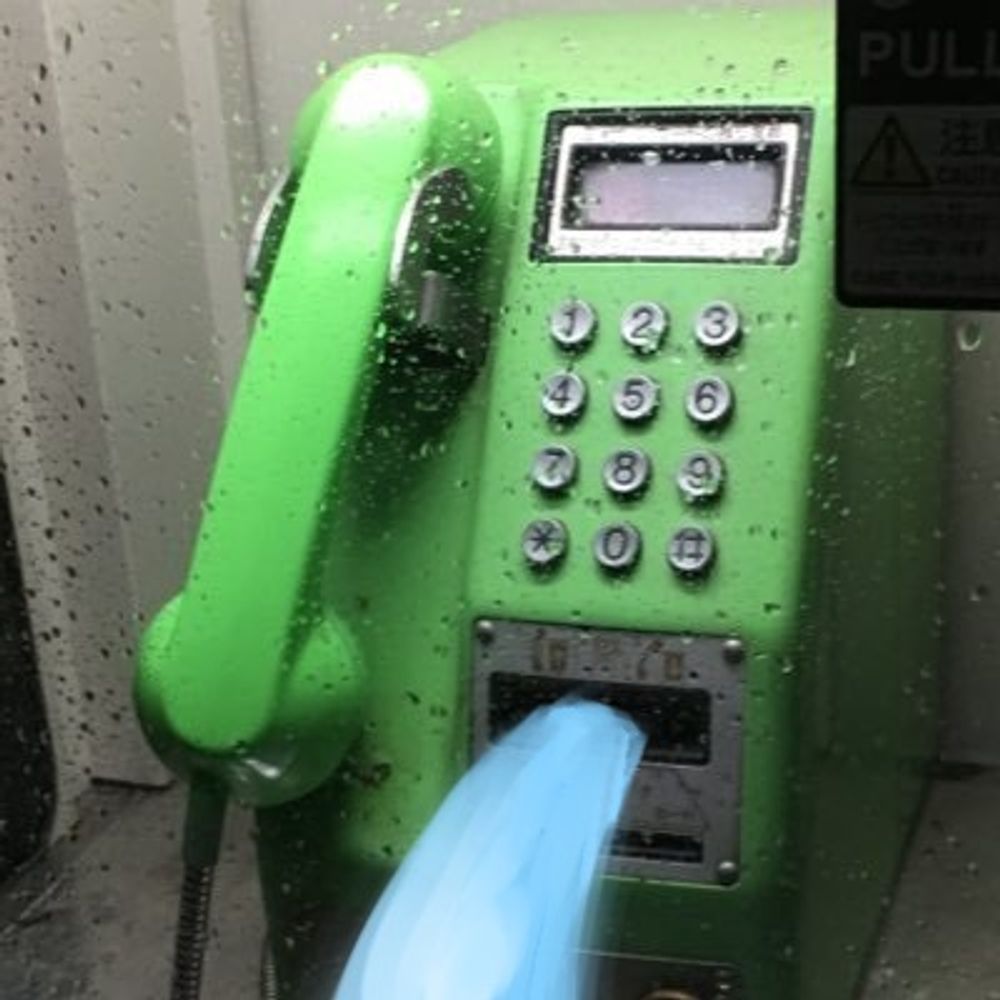 でんきくじら