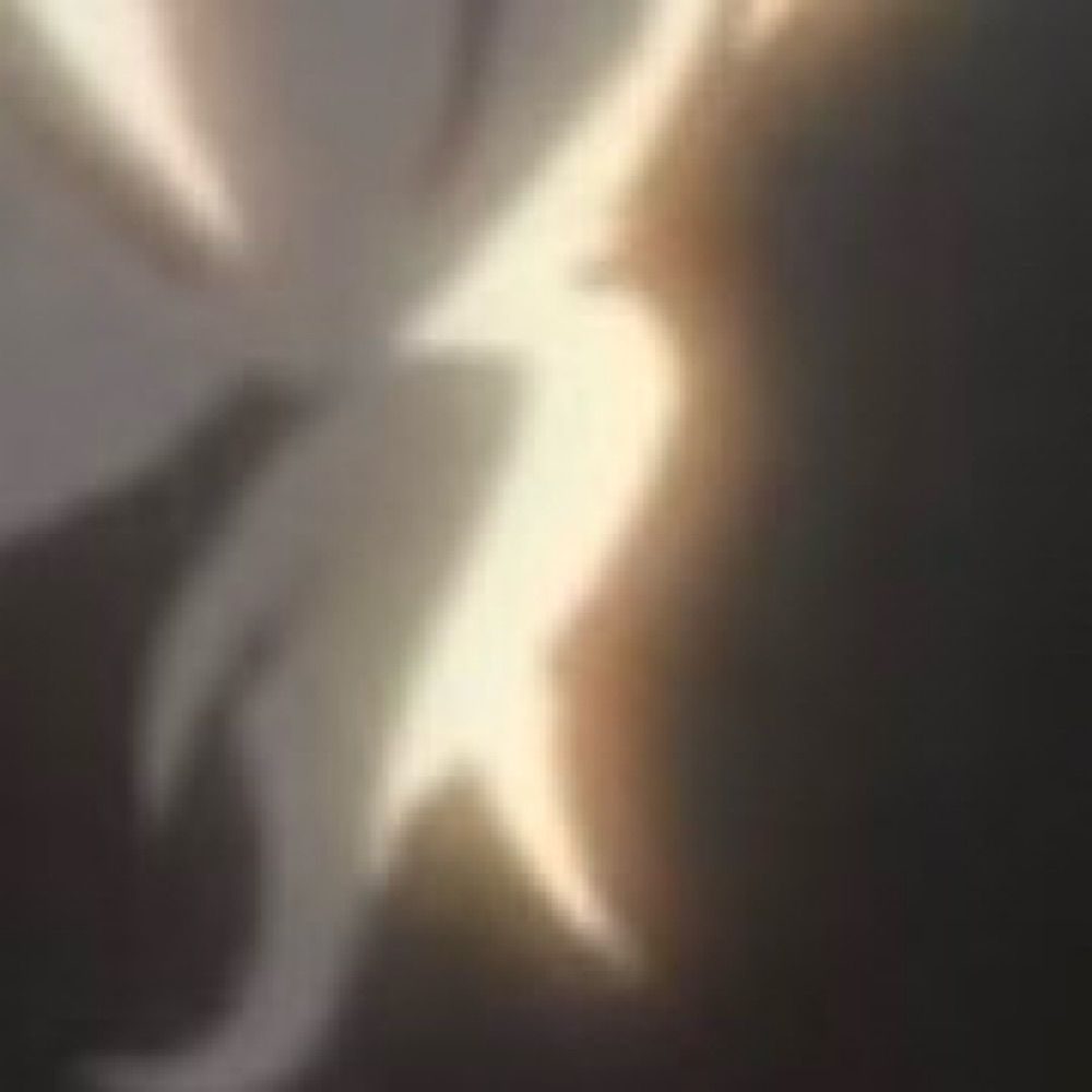 이덕배