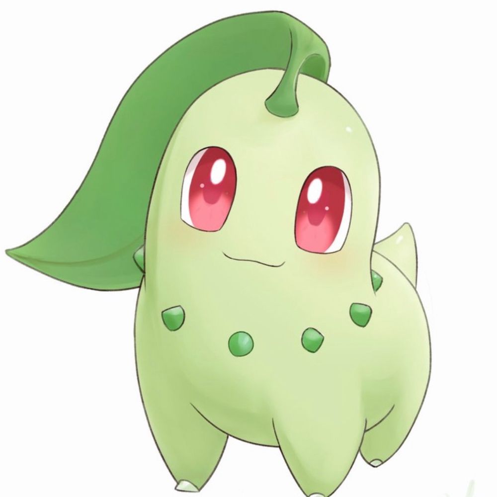 🌿答えてチコリータ🙋‍♀️