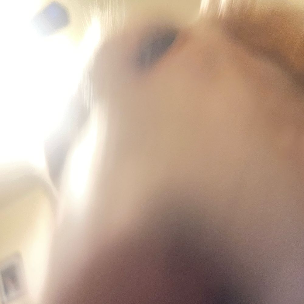 E田