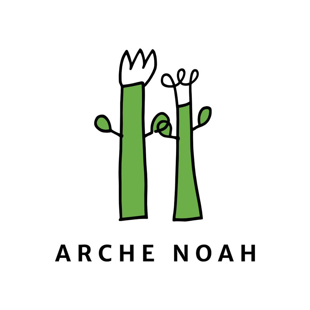 Arche Noah