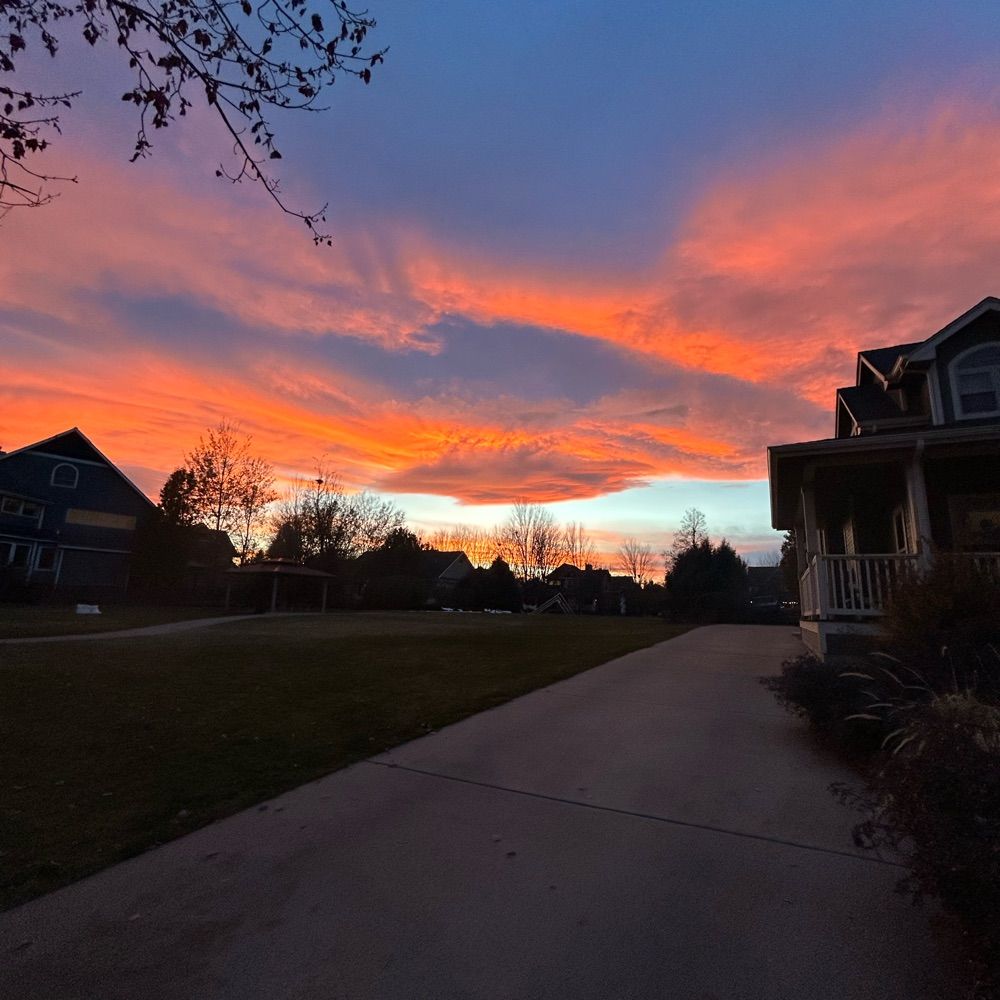 mayaballentine.bsky.social