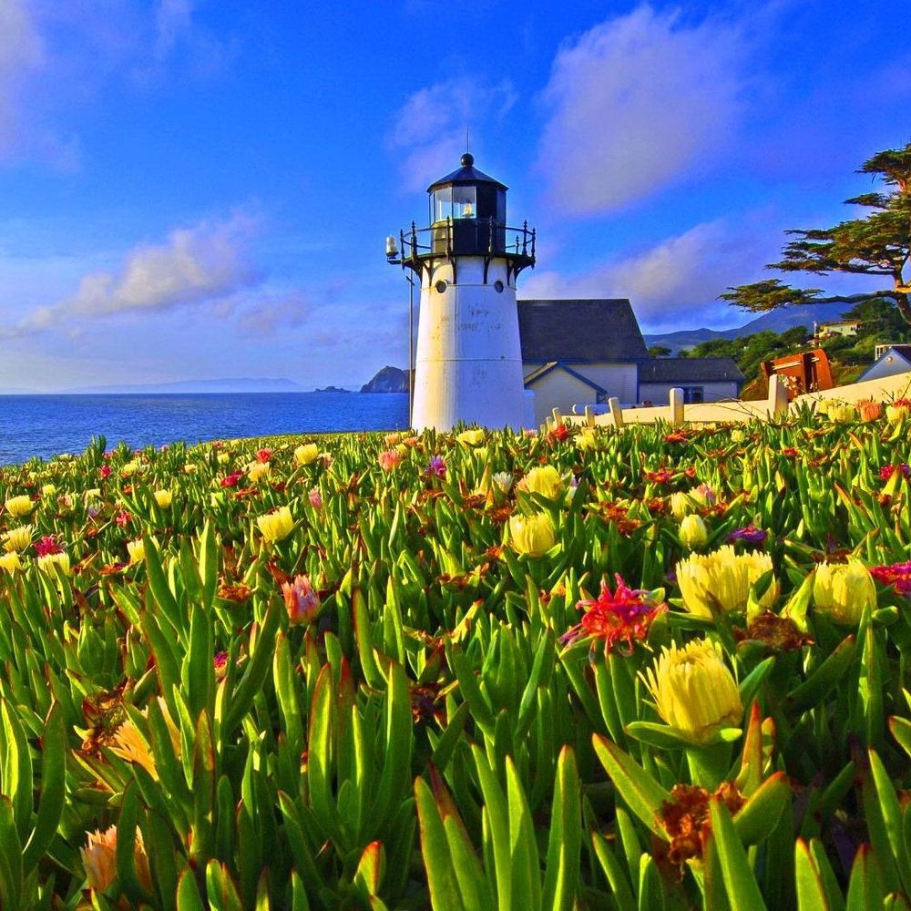 Lighthouse Full of Posies