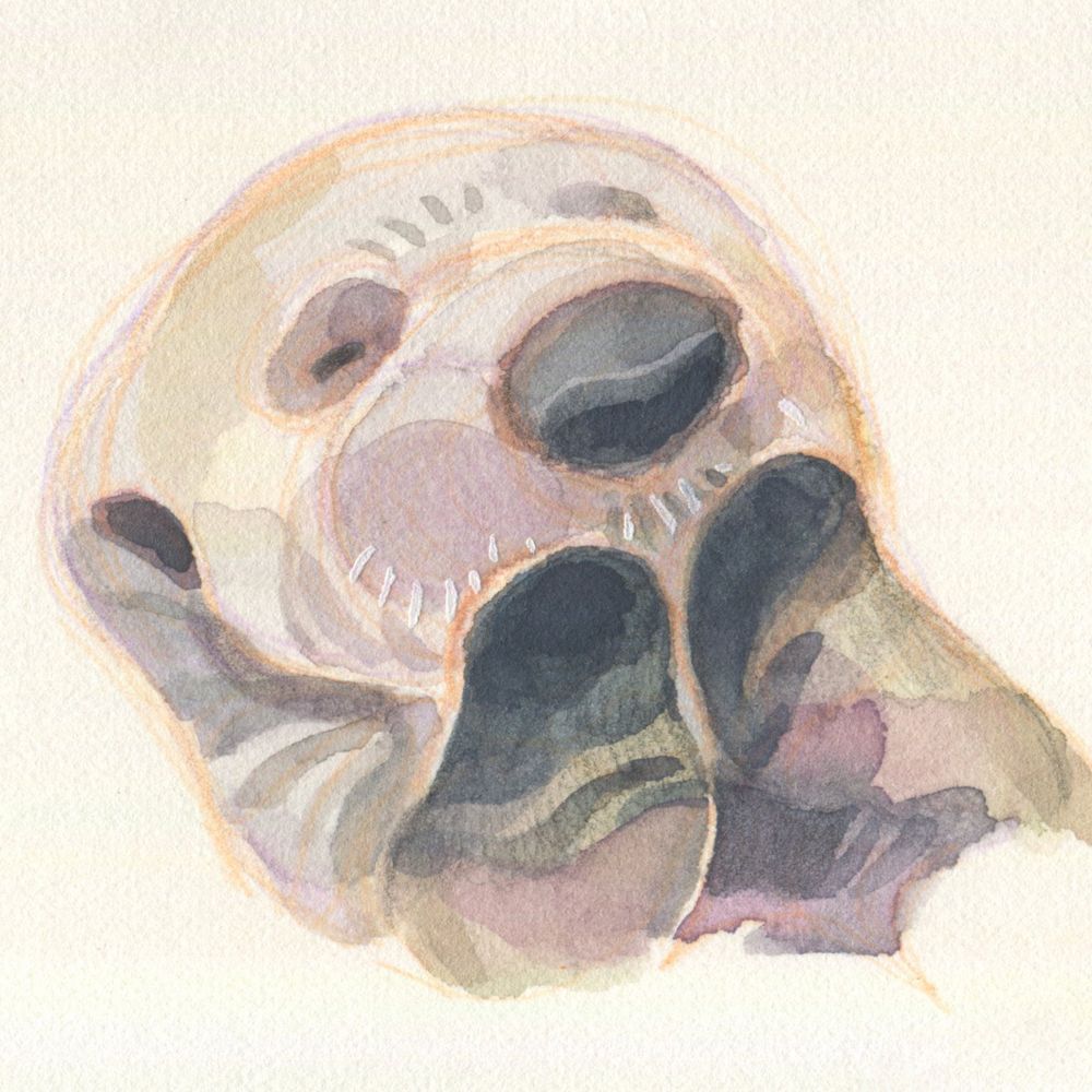 정하