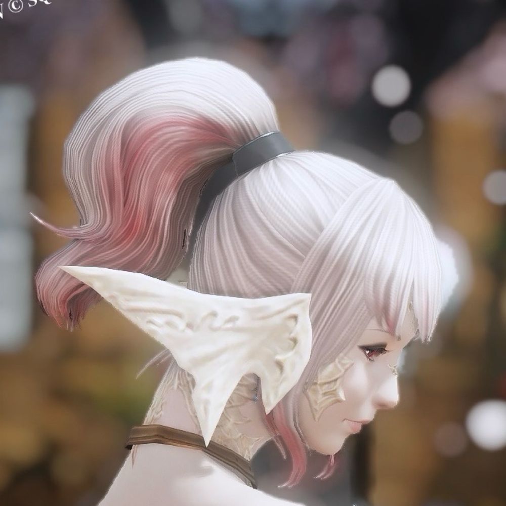 suzume-lzl12