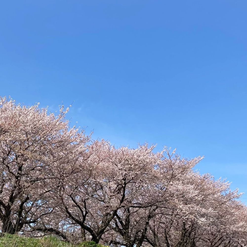 かり