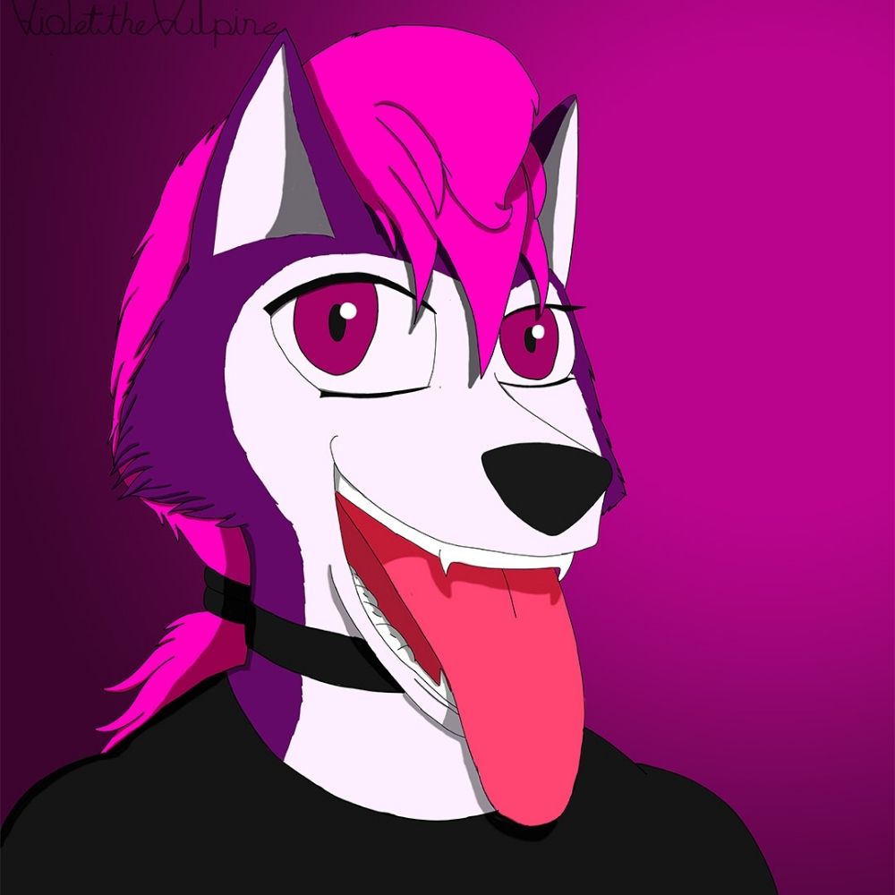 Violet the Vulpine
