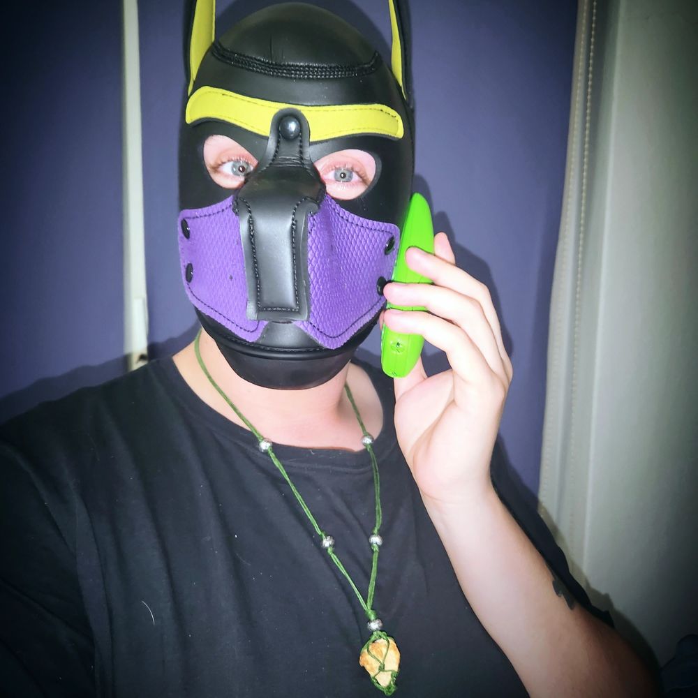 PUP_Shiloh 