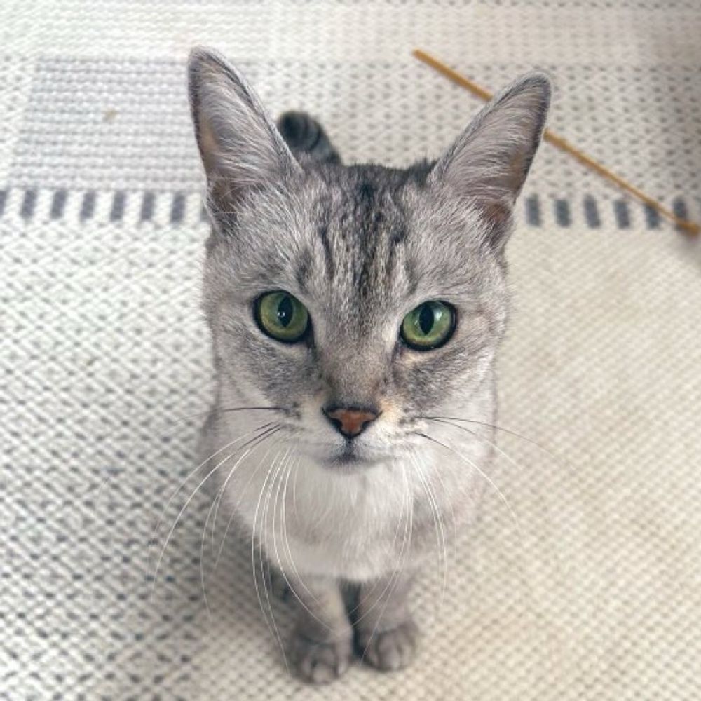 ダフィーちゃん